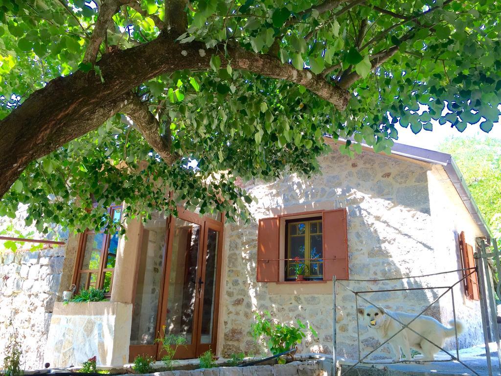 Ethno House Ivanovic Virpazar Extérieur photo